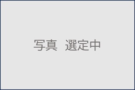 仮画像_選定中